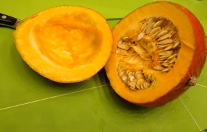 zucca